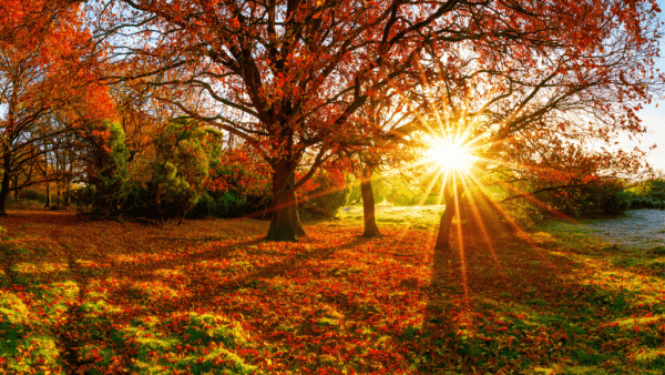 mabon-landscape-1024x576