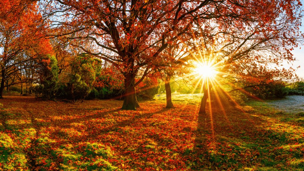 mabon-landscape-1024x576